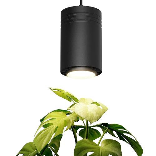 Aspect Large Black Luxury LED grow lights for indoor houseplants elegantly lighting medium and large plants for optimal growth