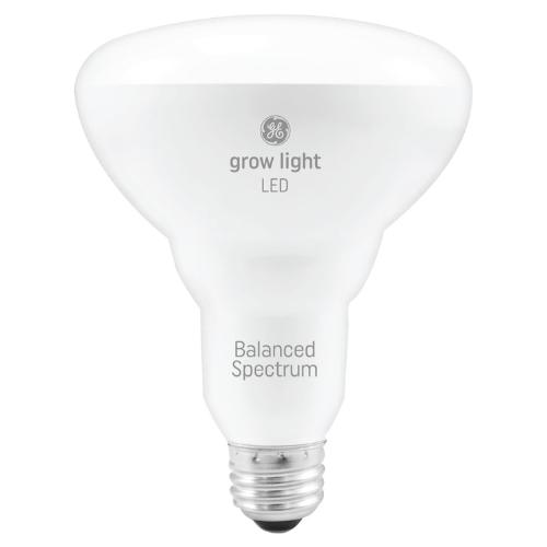 GE BR30 LED bulb, a practical grow light for indoor houseplants, shown in a home setting providing vital light spectrum